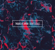 TKDJS-Don't-Leave-Feat.-AYER-Tunes-Deep-House-Music-DJ-Effronte